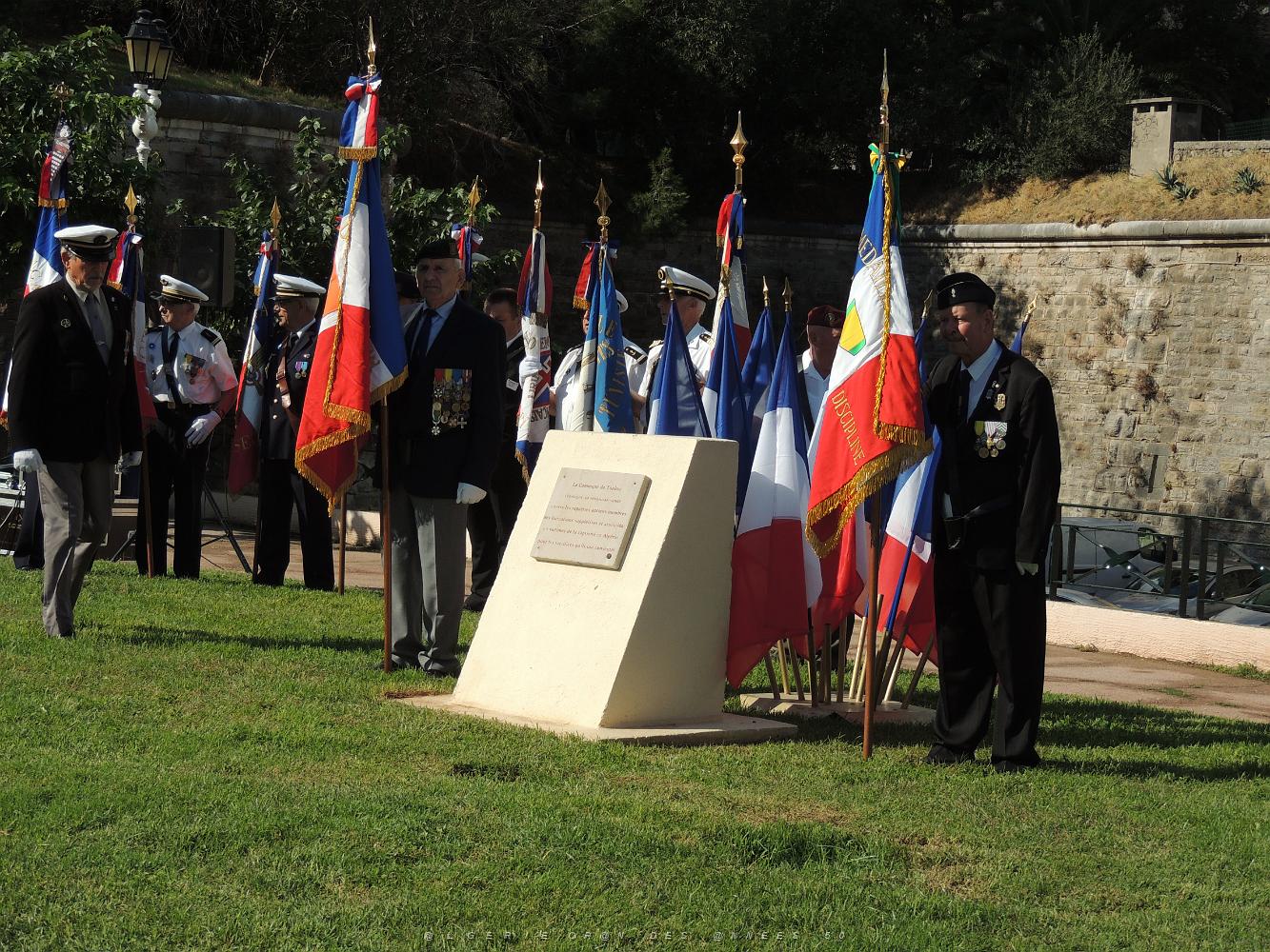 2019 09 25 TOULON HOMMAGE NATIONAL AUX HARKIS ET AUX FORMATIONS SUPPLETIVES  (28).JPG -           